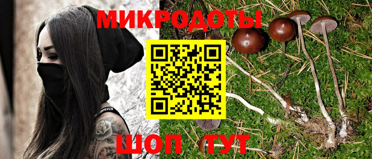 Галлюциногенные грибы Cubensis  Псилоцибиновые грибы MAGIC MUSHROOMS  Когалым  Вход с VPN 